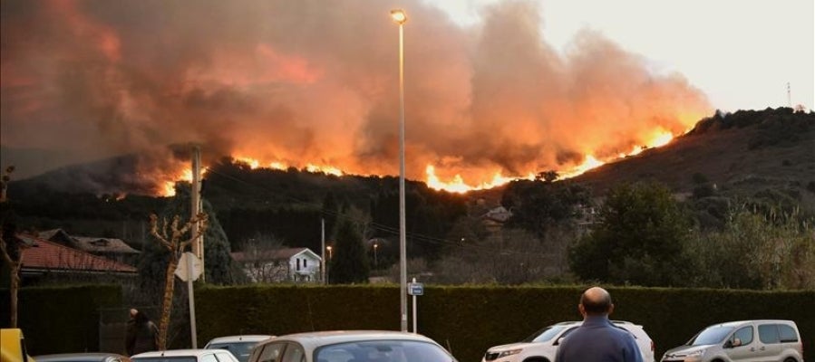El fuego desatado ayer por la tarde en la localidad vizcaína de Berango El fuego desatado ayer por la tarde en la localidad vizcaína de Berango