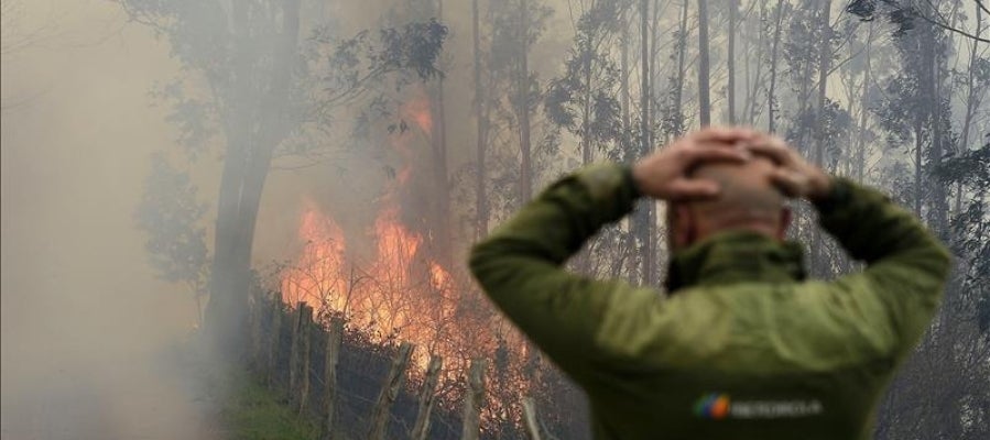 Uno de los incendios forestales en los montes próximos a la localidad cántabra de Viernoles Uno de los incendios forestales en los montes próximos a la localidad cántabra de Viernoles
