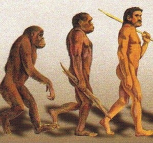 Evolución del ser humano Evolución del ser humano