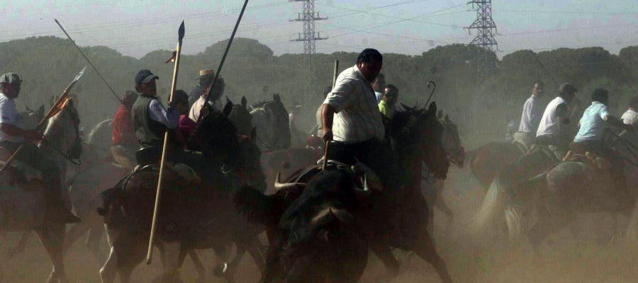 Torneo Toro de la Vega en Tordesillas Torneo Toro de la Vega en Tordesillas