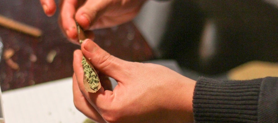 Cannabis Cannabis