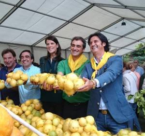 Limones solidarios Limones solidarios