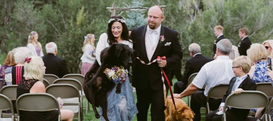 El perro estaba enfermo e iba a ser sacrificado, sin embargo, la pareja le sorprendió con una lección de amor hacia el animal El perro estaba enfermo e iba a ser sacrificado, sin embargo, la pareja le sorprendió con una lección de amor hacia el animal