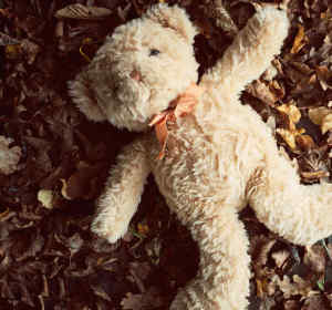 Oso de peluche Oso de peluche