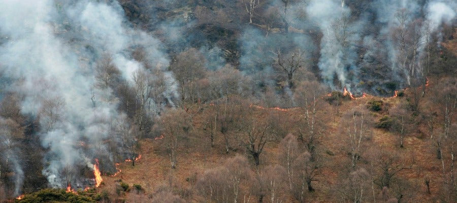 Incendio forestal en Asturias Incendio forestal en Asturias