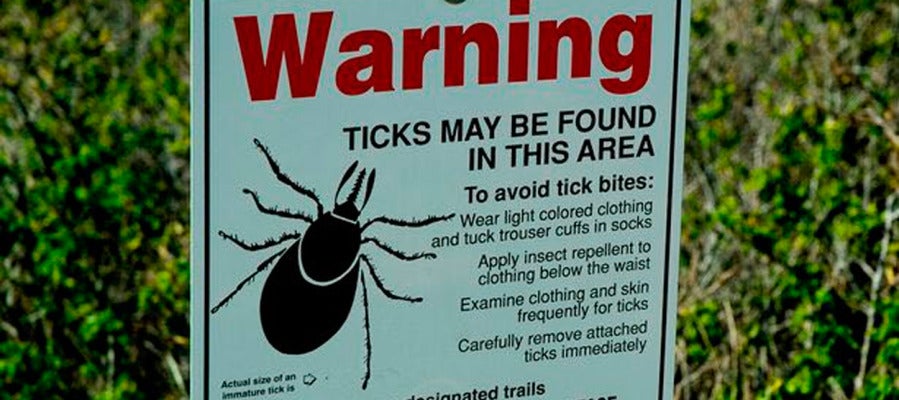 Una plaga de garrapatas llega a Estados Unidos Una plaga de garrapatas llega a Estados Unidos