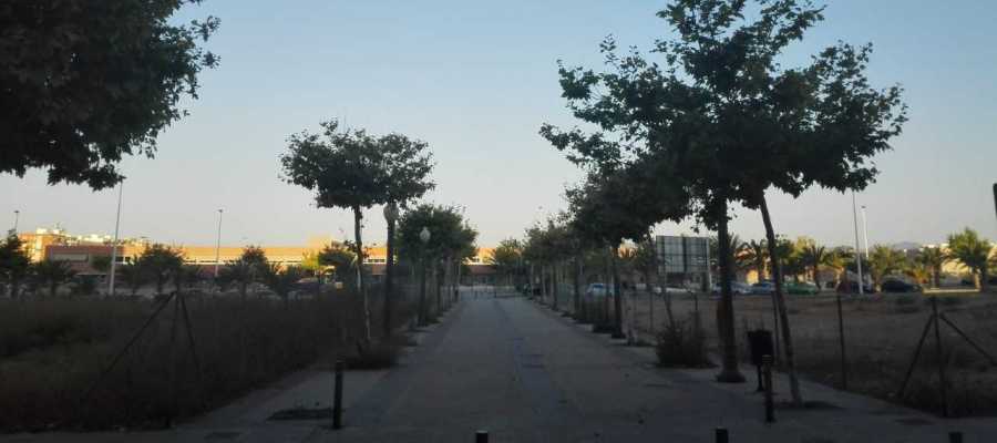 El cielo despejado sigue siendo la nota predominante en el cielo de Elche. El cielo despejado sigue siendo la nota predominante en el cielo de Elche.