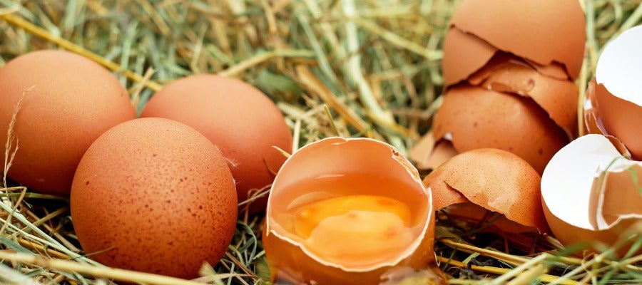 Huevos, imagen de archivo Huevos, imagen de archivo