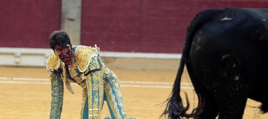 Cayetano Rivera, gravemente corneado en la Feria del Pilar. Cayetano Rivera, gravemente corneado en la Feria del Pilar.