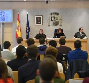 Sesión del juicio por las agresiones en Alsasua Sesión del juicio por las agresiones en Alsasua