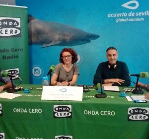 so acuario 2018 so acuario 2018