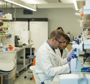 Científicos trabajando en un laboratorio Científicos trabajando en un laboratorio