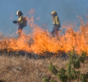 El cambio climático aumentará los incendios forestales en Europa en las próximas décadas El cambio climático aumentará los incendios forestales en Europa en las próximas décadas