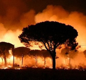 El incendio declarado en el paraje La Peñuela de Moguer (Huelva) El incendio declarado en el paraje La Peñuela de Moguer (Huelva)