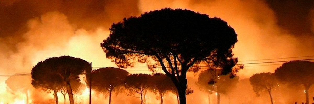 Imagen de EFE Televisión del incendio declarado anoche en el paraje La Peñuela de Moguer Imagen de EFE Televisión del incendio declarado anoche en el paraje La Peñuela de Moguer