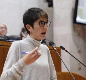 Violeta Barba, presidenta de las Cortes de Aragón Violeta Barba, presidenta de las Cortes de Aragón