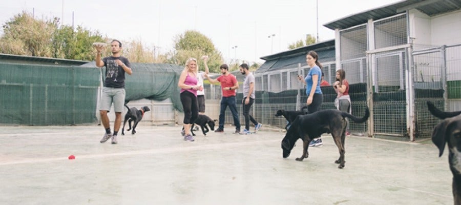 El equipo de Mascoteros en la Sociedad Protectora de Animales de Mataró El equipo de Mascoteros en la Sociedad Protectora de Animales de Mataró