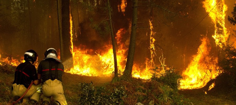 Operarios del sevicio de extinción de incendios trabajan en la zona de Zamanes, Vigo Operarios del sevicio de extinción de incendios trabajan en la zona de Zamanes, Vigo