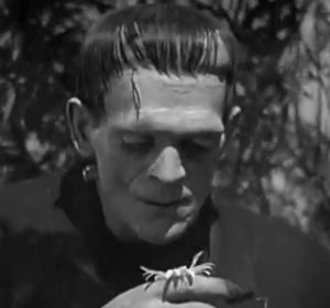 Imagen de Frankenstein Imagen de Frankenstein