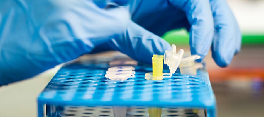 Un investigador en un laboratorio Un investigador en un laboratorio