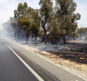 INCENDIO MONTE SANTA POLA INCENDIO MONTE SANTA POLA