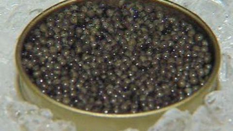 Proceso del caviar de Aquitania