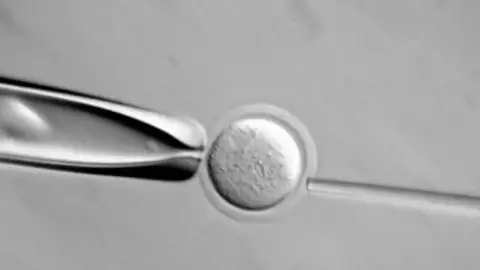 Investigación con células madre Investigación con células madre