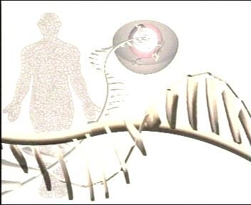 La Brújula de la Ciencia: Genética, el libro de la vida La Brújula de la Ciencia: Genética, el libro de la vida