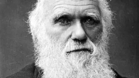 Darwin, 200 años de evolución Darwin, 200 años de evolución