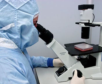 El Reino Unido autoriza la modificación genética de embriones humanos El Reino Unido autoriza la modificación genética de embriones humanos