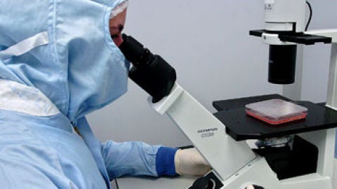 C&eacute;lulas humanas sin utilizar embriones