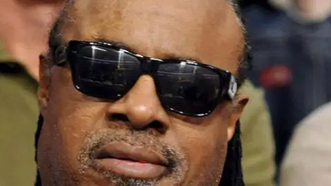 El cantante Steve Wonder El cantante Steve Wonder