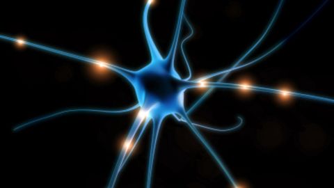 Neur&oacute;n Colgado por los Newtons