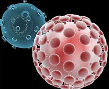La brújula de la ciencia: Los procesos de una célula viva La brújula de la ciencia: Los procesos de una célula viva