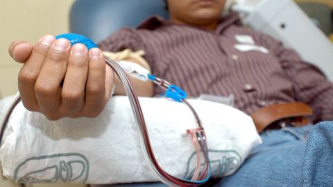 Donaci&oacute;n de sangre