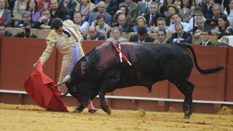 Fandi&ntilde;o, al capote