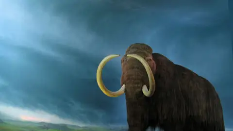 Mamut Mamut