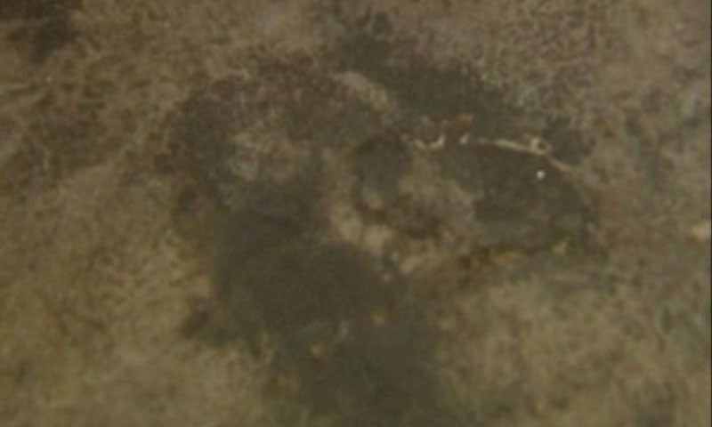 Los misterios de Fran: Escalofriantes psicofonías en España Los misterios de Fran: Escalofriantes psicofonías en España