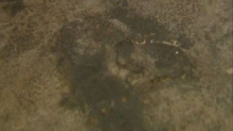 Las Caras de B&eacute;lmez