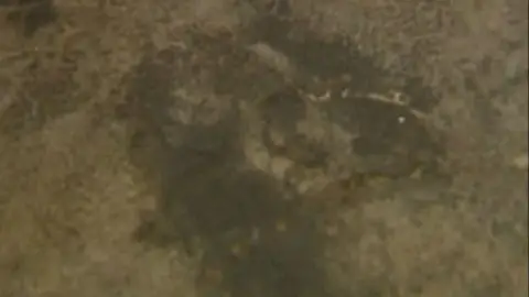 Las Caras de Bélmez Las Caras de Bélmez