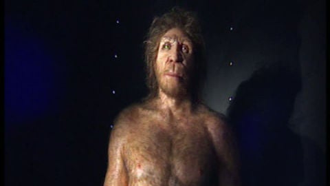 El 'homo antecessor' ha encontrado su casa