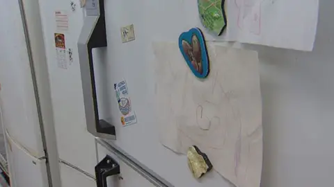 Frigoríficos Frigoríficos