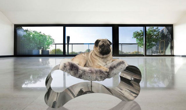 Hoteles de lujo para perros y gatos Hoteles de lujo para perros y gatos