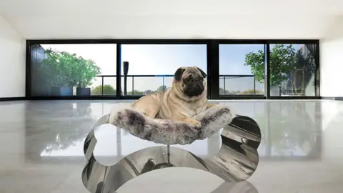 Hoteles de lujo para perros Hoteles de lujo para perros