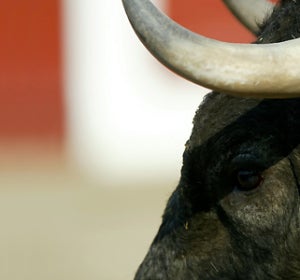 Corridas de Toros en Cataluña Corridas de Toros en Cataluña