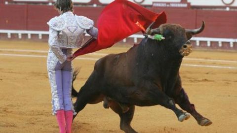 Un torero en una plaza de toros