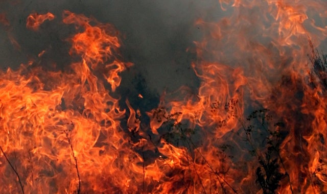 La Brújula de la Ciencia: El fuego La Brújula de la Ciencia: El fuego