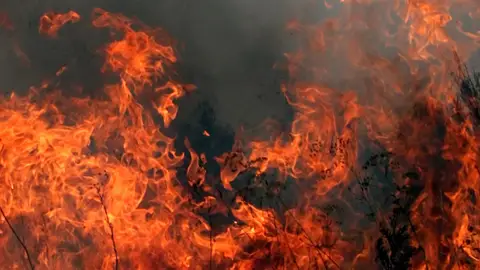 El número de incendios se ha reducido drásticamente El número de incendios se ha reducido drásticamente