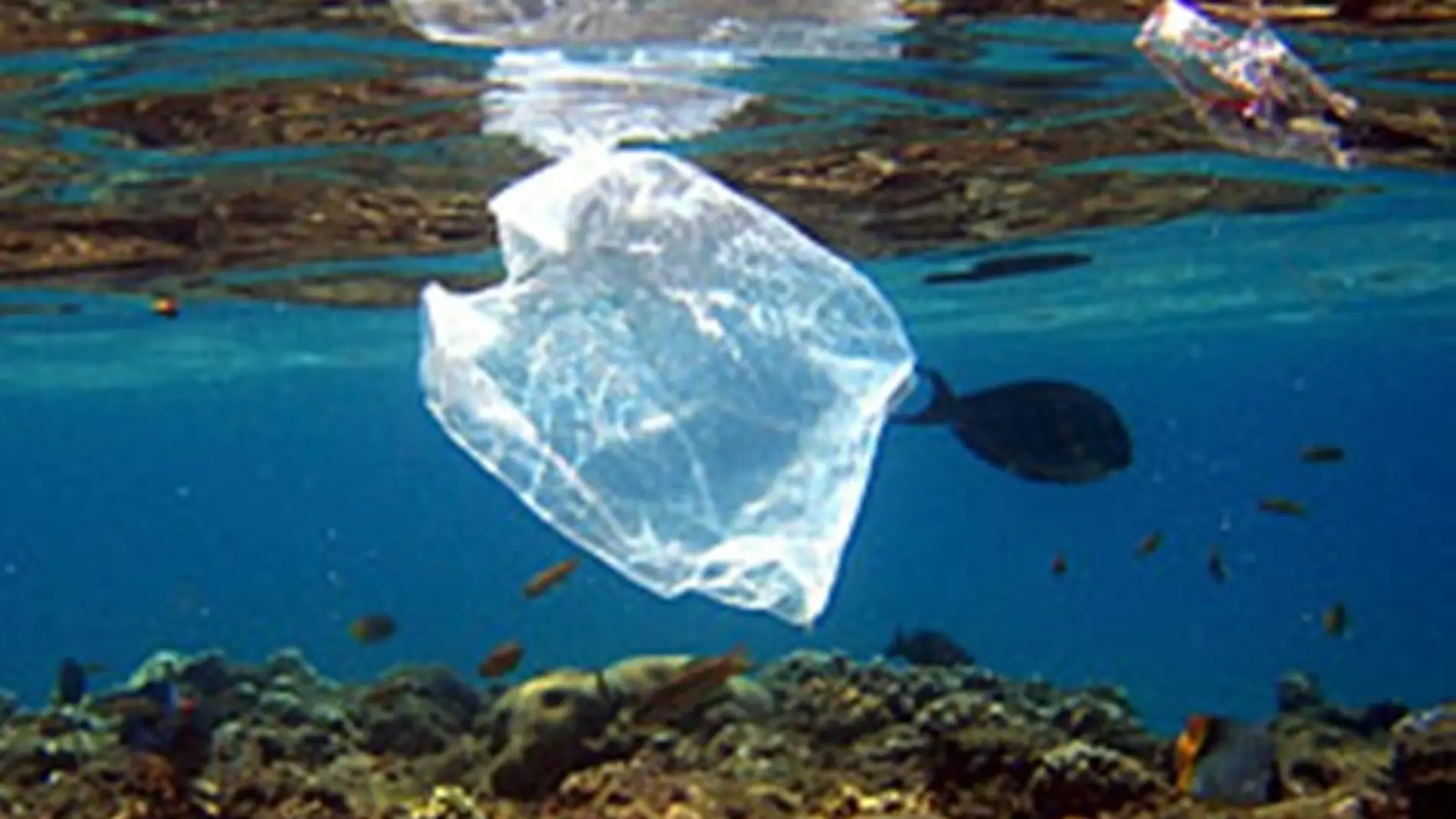 Bolsa de plástico en el mar