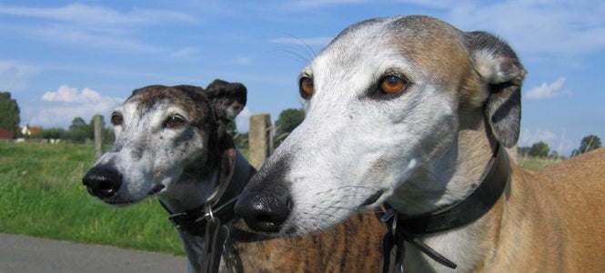 Más de Uno León 09/03/2023 Más de Uno León 09/03/2023